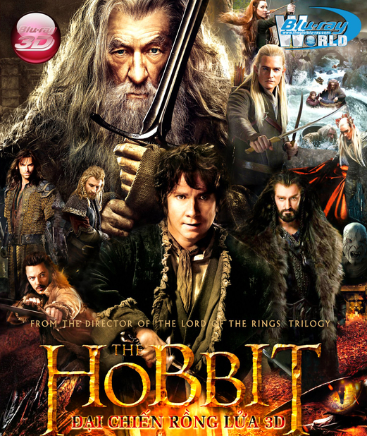 D196. The Hobbit The Desolation of Smaug 2013 (3D25G)  - HOBBIT 2 ĐẠI CHIẾN RỒNG LỬA 3D 25G (DTS-HD MA 7.1)  ----  2 DISC